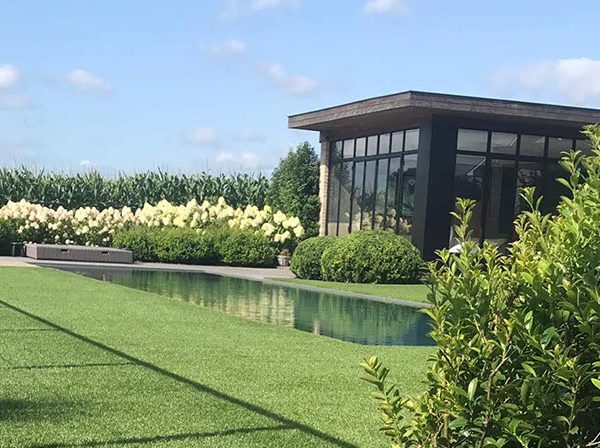 Kunstgras tuin met beplanting-en-zwembad