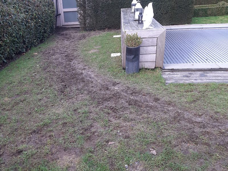 Kunstgras tuin met honden